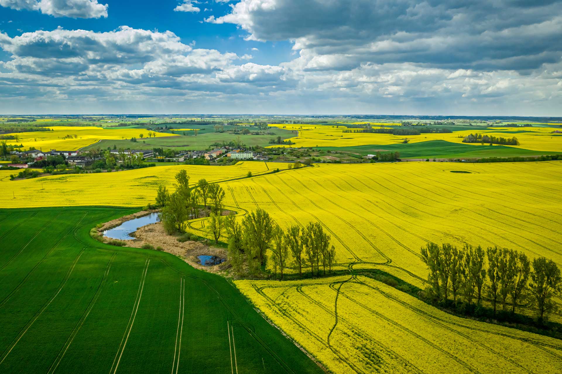 Agrarlandschaft im Frühjahr