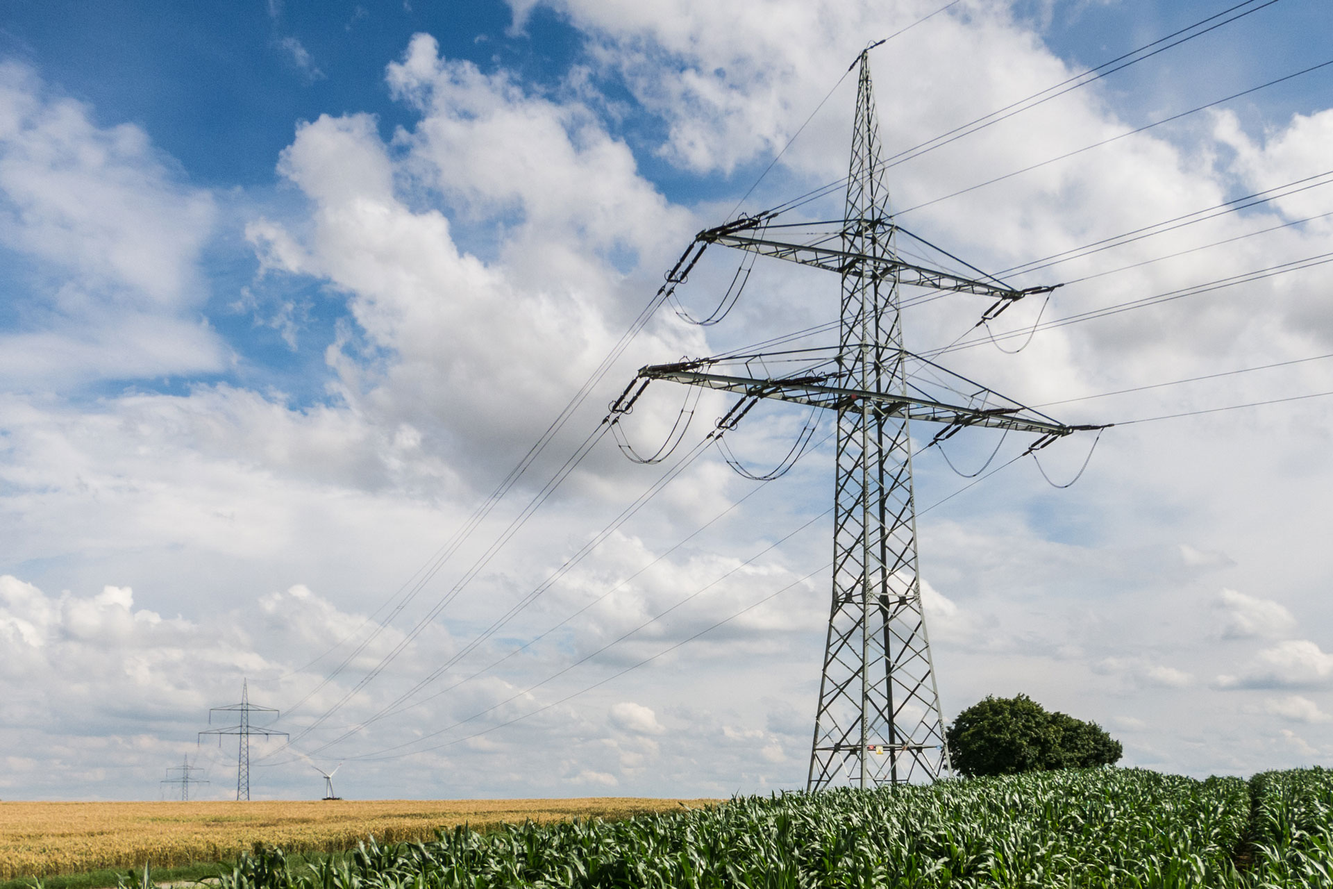 Strommasten im Maisfeld