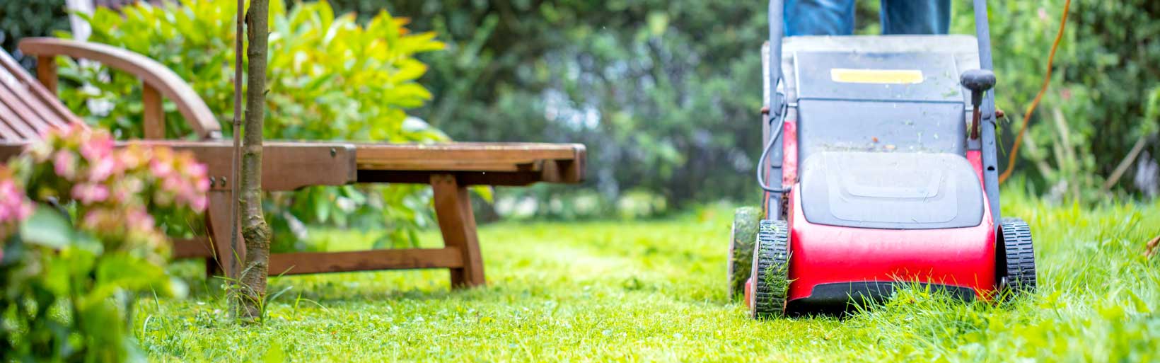 Rasenpflege im Sommer